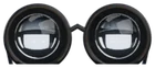 Round glasses resting on Spot